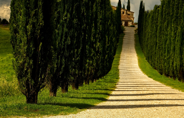 FERRAGOSTO, 650MILA <BR> IN AGRITURISMO