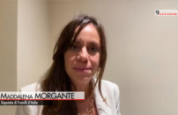 Scuola, Morgante (FdI): torni ad essere ascensore sociale