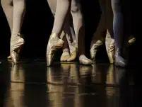 Ø±ÙØµØ ÙØ§Ø±ÙÙØ§ Ø¥ÙÙØ§ÙÙ ØªÙØ«Ù Ø¥ÙØ·Ø§ÙÙØ§ ÙÙ Ø¯Ø§Ø± Ø§ÙØ£ÙØ¨Ø±Ø§ ÙÙ ÙÙÙÙØ§