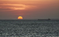 IRAN, USA AUTORIZZANO ACQUISTO DI GREGGIO RUSSO IN TRANSITO