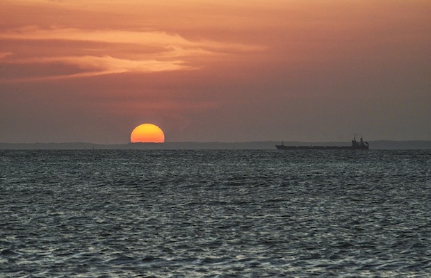 IRAN, USA AUTORIZZANO ACQUISTO DI GREGGIO RUSSO IN TRANSITO