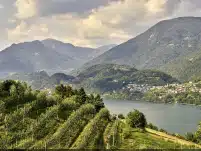 Trentino: in riva al lago di Caldonazzo