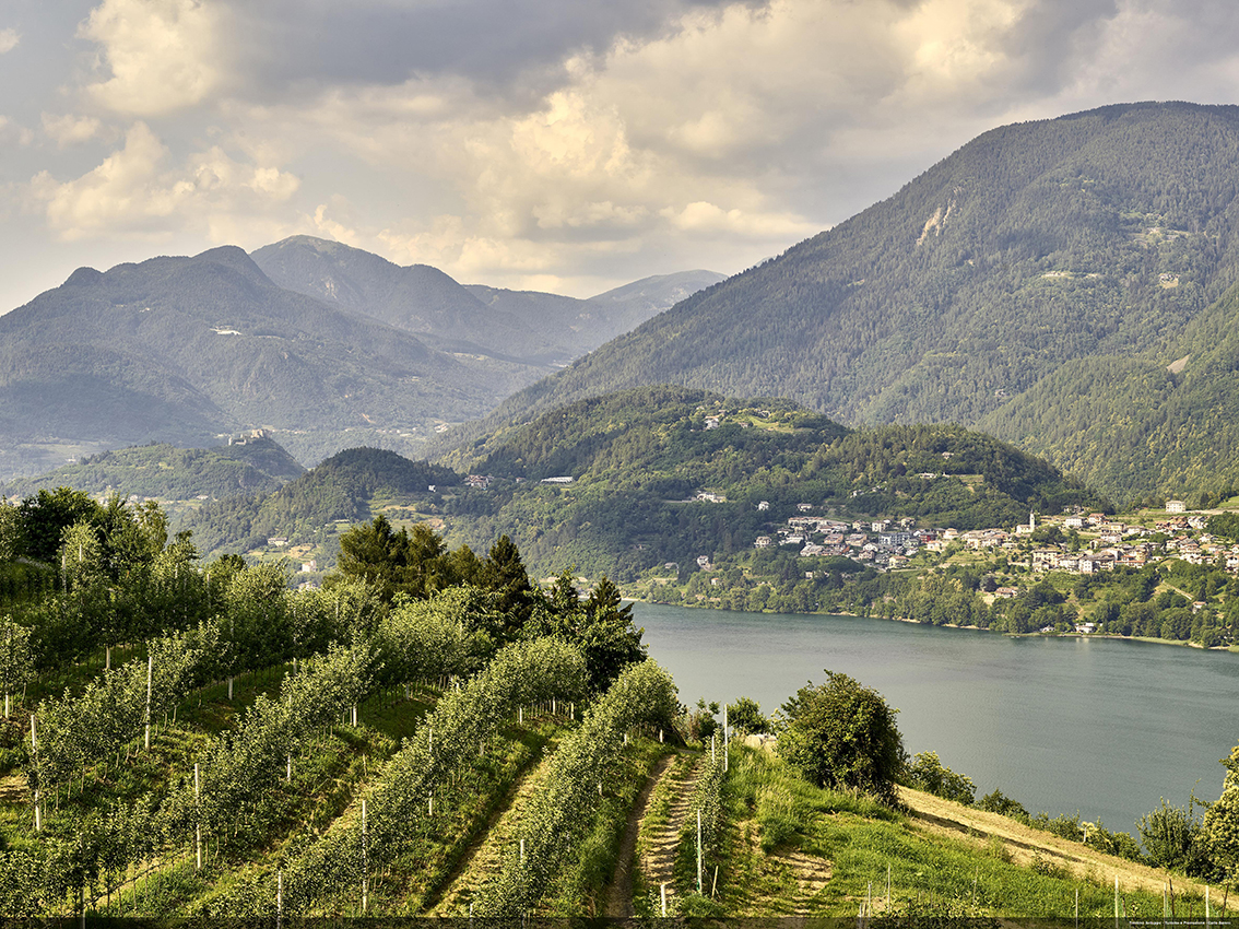 Trentino: in riva al lago di Caldonazzo