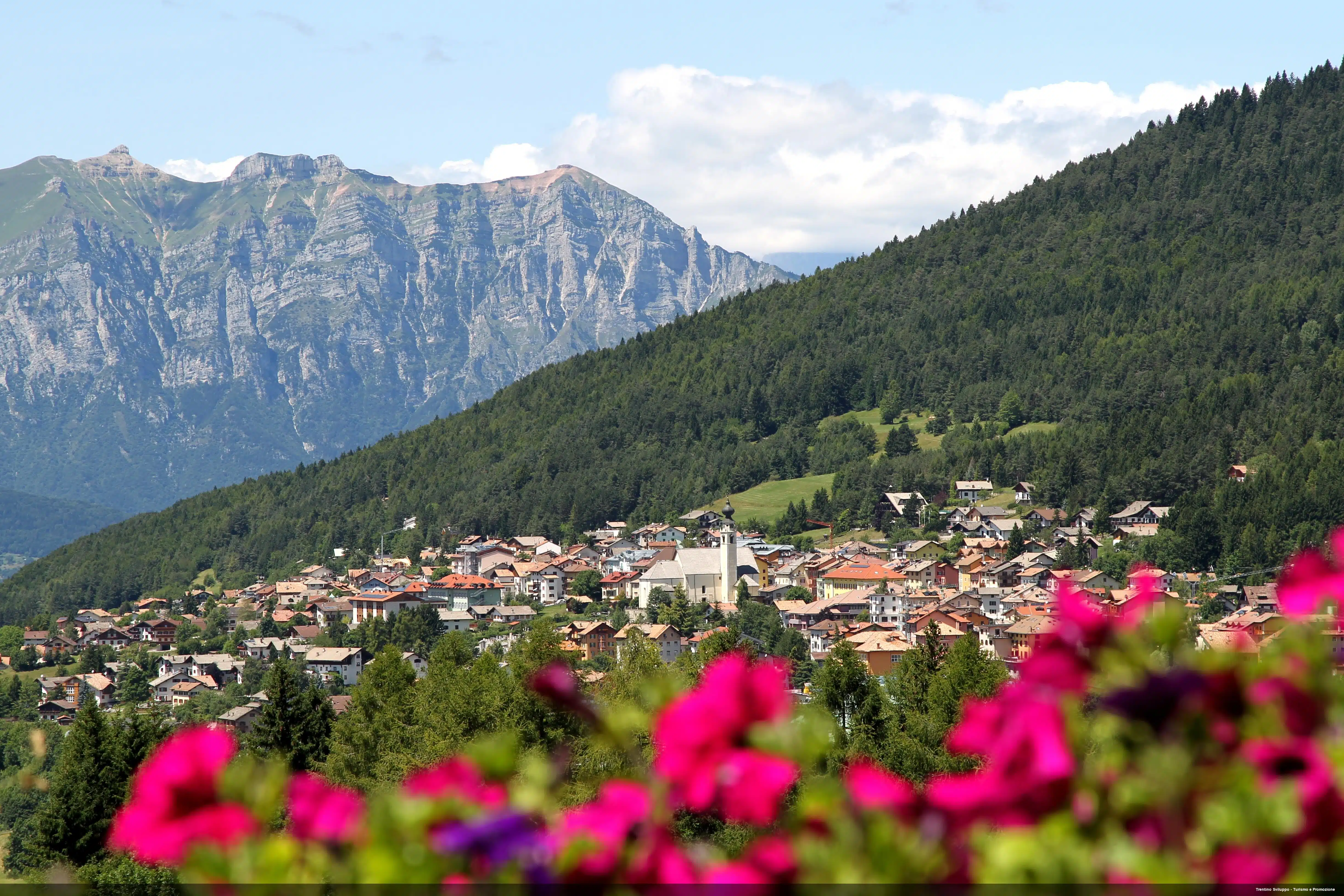 Il cuore verde <br> del Trentino