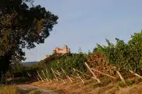 Langhirano, la casa del prosciutto di Parma