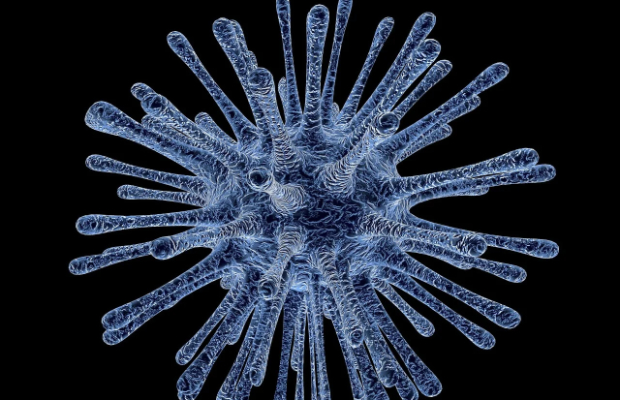 HANTAVIRUS, LA NAVE <BR> E’ ARRIVATA A TENERIFE 