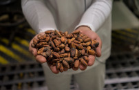 GIORNATA CACAO, <BR> MERCATO IN CRISI