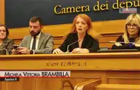 Animali, Brambilla (Fi): stufi e indignati per crimini, inasprire le pene