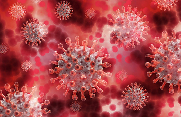 Combattere i virus, su 
