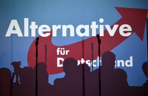 AFD, VITTORIA SPINTA <BR> DA CRISI VOLKSWAGEN   