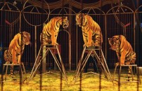 TUTELA DEGLI ANIMALI <br> CHE COSA Eâ CAMBIATO?