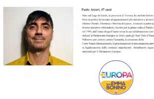 Voto estero, Atzori (+Europa): sviluppare una <br> cittadinanza europea