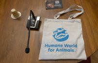 STOP ALLE PELLICCE <br> LâAPPELLO ALLA UE