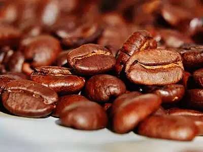 BRASILE: ILLY INAUGURA LA SECONDA SEDE BRASILIANA DELLA SUA UNIVERSITÃ DEL CAFFÃ